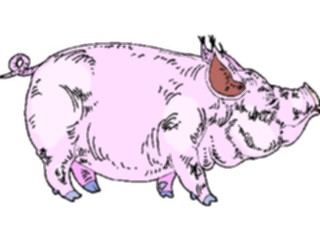 Sticker Custom Preview Image #023497 Animals Farm Animals Pig33