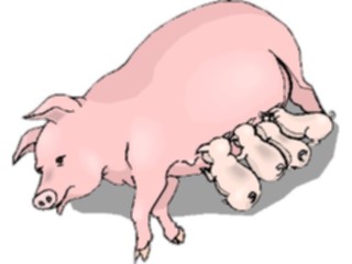 Sticker Custom Preview Image #023502 Animals Farm Animals Pig Feeding Piglets3