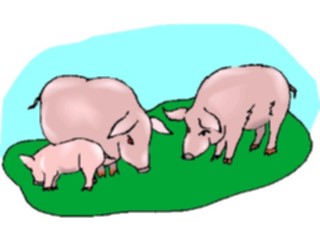 Sticker Custom Preview Image #023509 Animals Farm Animals Pigs3