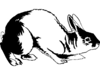 Sticker Custom Preview Image #023510 Animals Farm Animals Rabbit