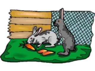 Sticker Custom Preview Image #023511 Animals Farm Animals Rabbits