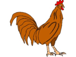 Sticker Custom Preview Image #023514 Animals Farm Animals Rooster03