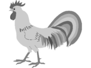 Sticker Custom Preview Image #023518 Animals Farm Animals Rooster07