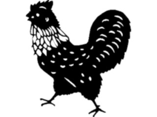 Sticker Custom Preview Image #023525 Animals Farm Animals Rooster14