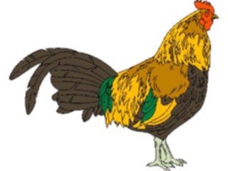 Sticker Custom Preview Image #023526 Animals Farm Animals Rooster15