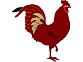 Sticker Custom Preview Image #023527 Animals Farm Animals Rooster16