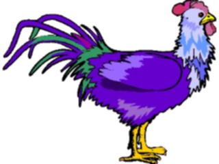 Sticker Custom Preview Image #023534 Animals Farm Animals Rooster23