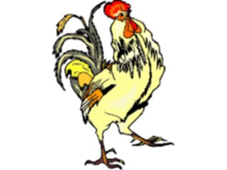 Sticker Custom Preview Image #023537 Animals Farm Animals Rooster26