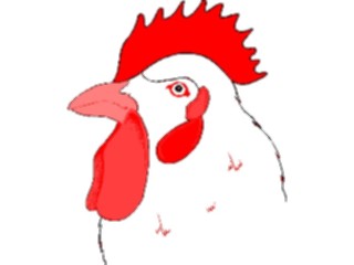 Sticker Custom Preview Image #023542 Animals Farm Animals Rooster31