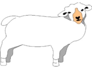 Sticker Custom Preview Image #023547 Animals Farm Animals Sheep03