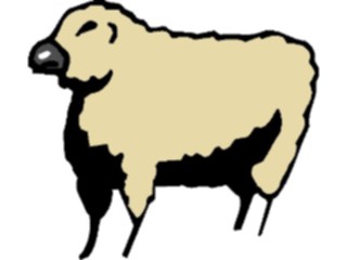 Sticker Custom Preview Image #023548 Animals Farm Animals Sheep04