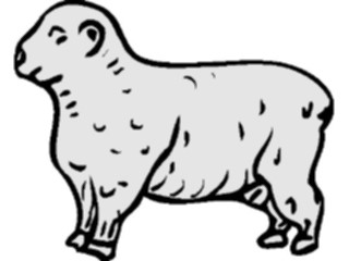 Sticker Custom Preview Image #023553 Animals Farm Animals Sheep09