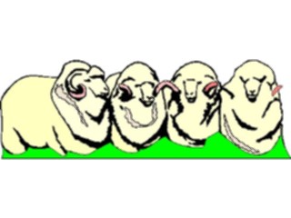 Sticker Custom Preview Image #023560 Animals Farm Animals Sheep Flock