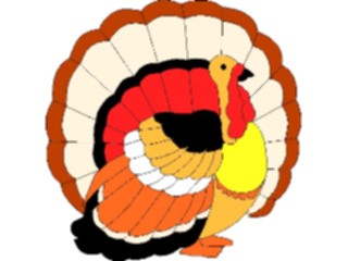 Sticker Custom Preview Image #023563 Animals Farm Animals Turkey1