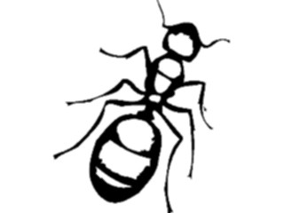 Sticker Custom Preview Image #023569 Animals Insects Ant01