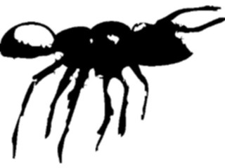 Sticker Custom Preview Image #023572 Animals Insects Ant04