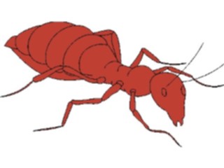 Sticker Custom Preview Image #023573 Animals Insects Ant05