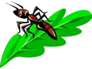 Sticker Custom Preview Image #023577 Animals Insects Ant09