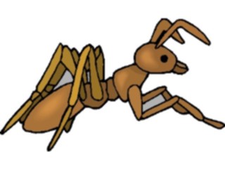 Sticker Custom Preview Image #023579 Animals Insects Ant11