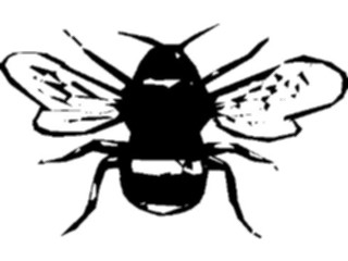 Sticker Custom Preview Image #023589 Animals Insects Bee01