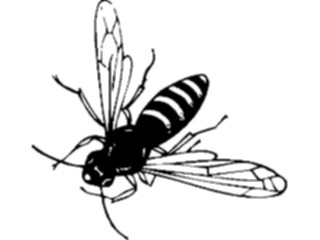 Sticker Custom Preview Image #023590 Animals Insects Bee02