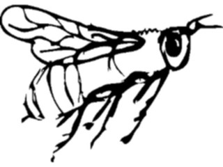 Sticker Custom Preview Image #023594 Animals Insects Bee06