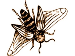 Sticker Custom Preview Image #023601 Animals Insects Bee13