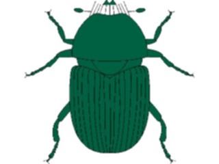 Sticker Custom Preview Image #023620 Animals Insects Beetle05