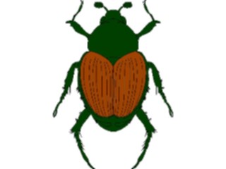 Sticker Custom Preview Image #023622 Animals Insects Beetle07