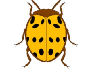 Sticker Custom Preview Image #023623 Animals Insects Beetle08