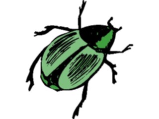 Sticker Custom Preview Image #023624 Animals Insects Beetle09