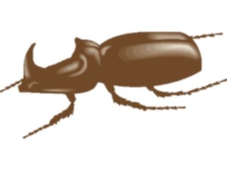 Sticker Custom Preview Image #023625 Animals Insects Beetle10