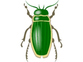 Sticker Custom Preview Image #023627 Animals Insects Beetle12