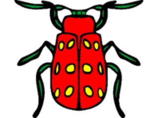 Sticker Custom Preview Image #023628 Animals Insects Beetle13