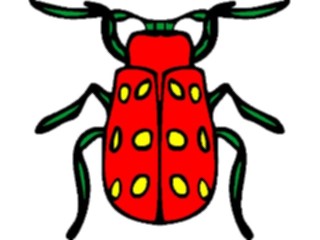 Sticker Custom Preview Image #023628 Animals Insects Beetle13