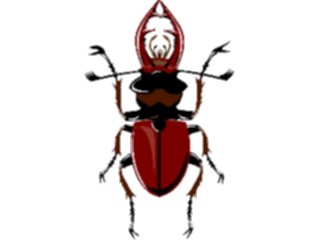 Sticker Custom Preview Image #023631 Animals Insects Beetle16