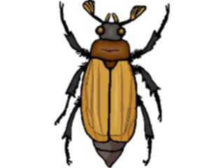 Sticker Custom Preview Image #023634 Animals Insects Beetle19