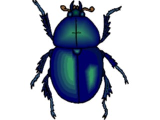 Sticker Custom Preview Image #023635 Animals Insects Beetle20