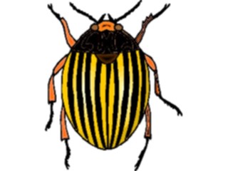 Sticker Custom Preview Image #023636 Animals Insects Beetle21