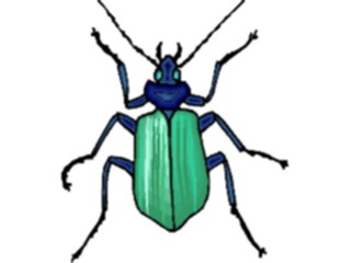 Sticker Custom Preview Image #023637 Animals Insects Beetle22