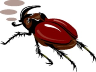 Sticker Custom Preview Image #023642 Animals Insects Beetle Rhinocerous