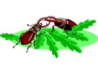 Sticker Custom Preview Image #023645 Animals Insects Beetles Fighting