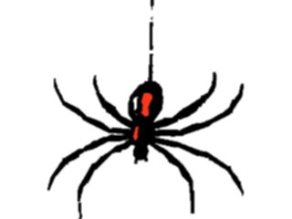 Sticker Custom Preview Image #023646 Animals Insects Black Widow