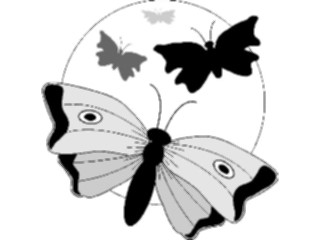 Sticker Custom Preview Image #023651 Animals Insects Butterflies2