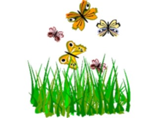 Sticker Custom Preview Image #023654 Animals Insects Butterflies5