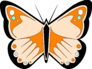 Sticker Custom Preview Image #023659 Animals Insects Butterfly004