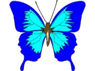 Sticker Custom Preview Image #023660 Animals Insects Butterfly005