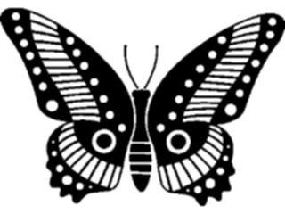 Sticker Custom Preview Image #023663 Animals Insects Butterfly008