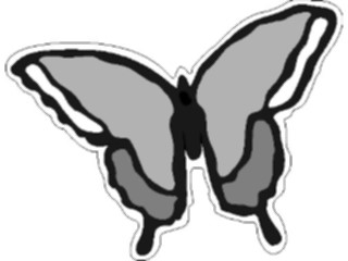 Sticker Custom Preview Image #023666 Animals Insects Butterfly011