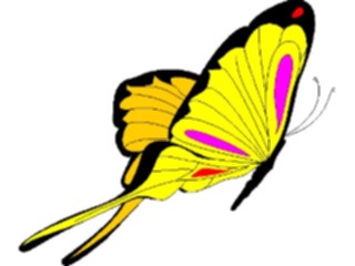 Sticker Custom Preview Image #023668 Animals Insects Butterfly013